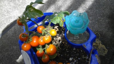 2025年07月17日10時52分07秒