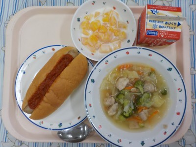 DSCN4334