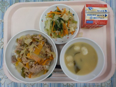 DSCN4262